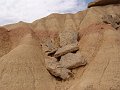 DSC05348