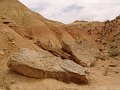 DSC05352