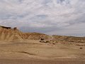 DSC05355