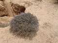 DSC05358