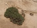 DSC05359