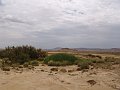 DSC05376