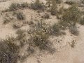 DSC05380