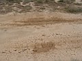 DSC05382