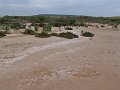 DSC05384