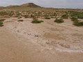 DSC05385