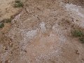 DSC05386
