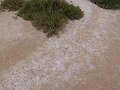 DSC05388