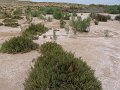 DSC05391