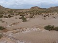 DSC05394