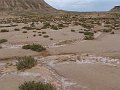DSC05395