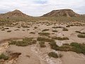 DSC05397