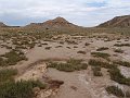 DSC05398