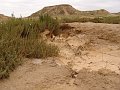DSC05401