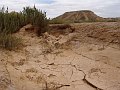DSC05402