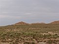 DSC05404