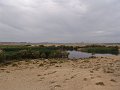 DSC05410
