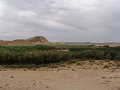 DSC05411