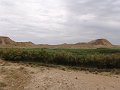 DSC05412