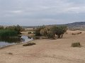 DSC05414