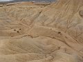 DSC05431