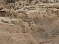 DSC05435