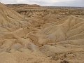 DSC05442