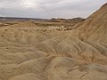 DSC05447