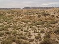 DSC05473