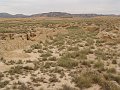 DSC05474