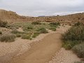 DSC05477