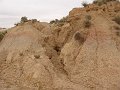 DSC05479