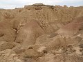 DSC05485