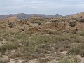 DSC05499