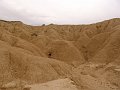 DSC05501