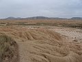 DSC05507
