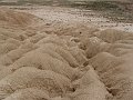 DSC05508