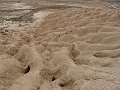 DSC05509