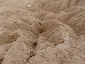 DSC05515