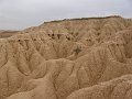 DSC05517