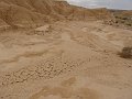 DSC05521