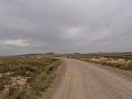 DSC05523