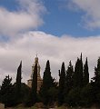 DSC03221