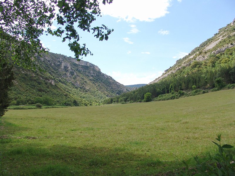 DSC03090.jpg