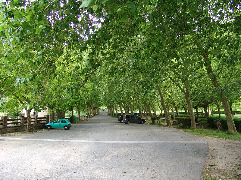 DSC03091.JPG