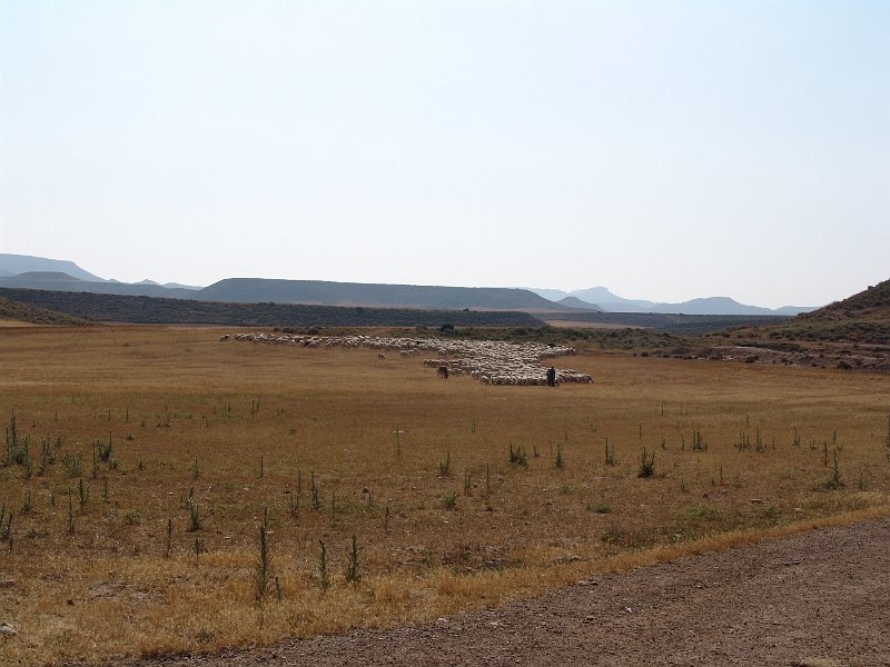 DSC05538.JPG