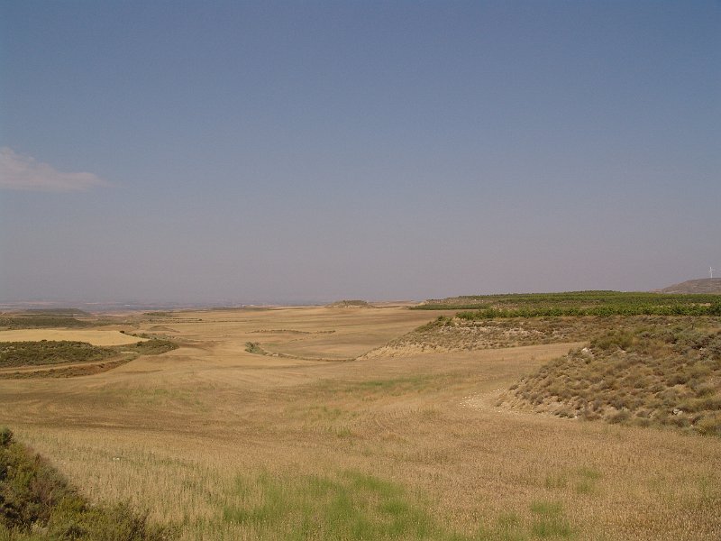 DSC05542.JPG