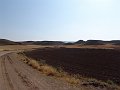 DSC05533