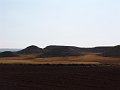 DSC05534