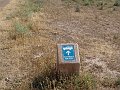 DSC05536
